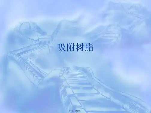 吸附树脂PPT课件