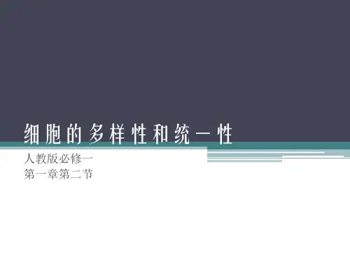 人教版高中生物必修一第一章-第二节-细胞的多样性和统一性
