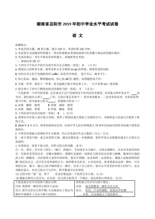 湖南省岳阳市2019年初中学业水平考试语文试卷(含答案)
