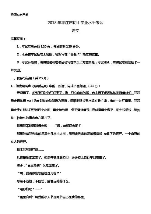 2018年山东省枣庄市中考语文试题及答案
