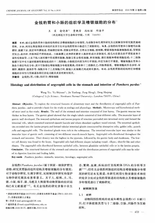 金钱豹胃和小肠的组织学及嗜银细胞的分布