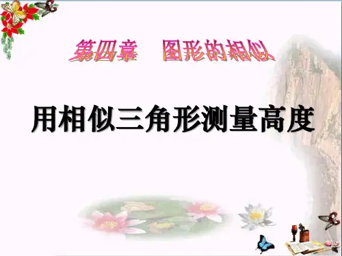 4.6 利用相似三角形测高_精选教学PPT课件2