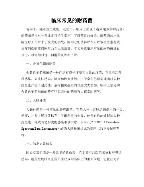 临床常见的耐药菌