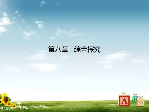 中考数学总复习 第八章 综合与探究 第40课 阅读理解型问题课件精品