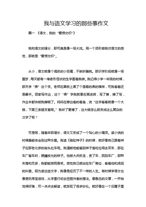 我与语文学习的那些事作文