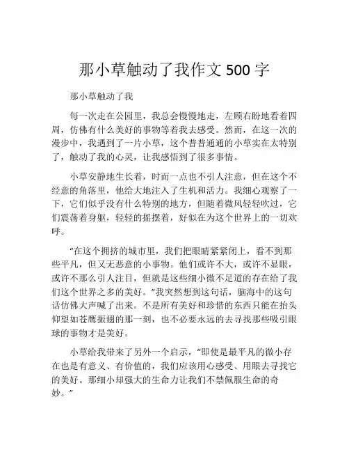 那小草触动了我作文500字