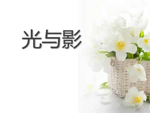 《光与影》多彩的光PPT课件2