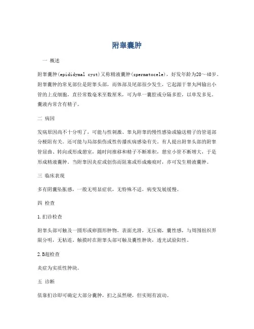 医学知识之附睾囊肿