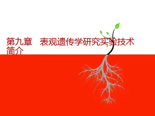 第九章  表观遗传学研究实验技术简介