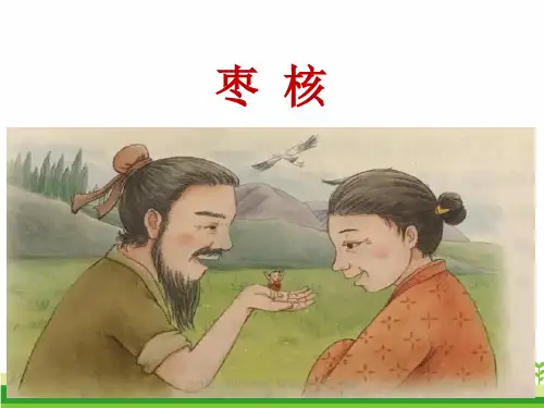 人教部编版三年级下册语文《枣核》教学课件