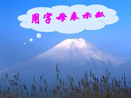人教版五年级数学上册《用字母表示数》PPT课件