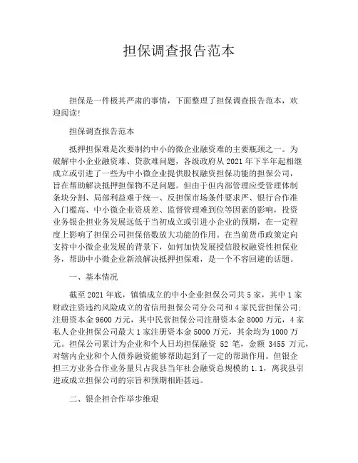 担保调查报告范本