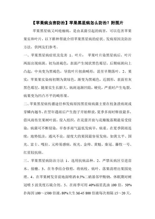 【苹果病虫害防治】苹果黑星病怎么防治？附图片
