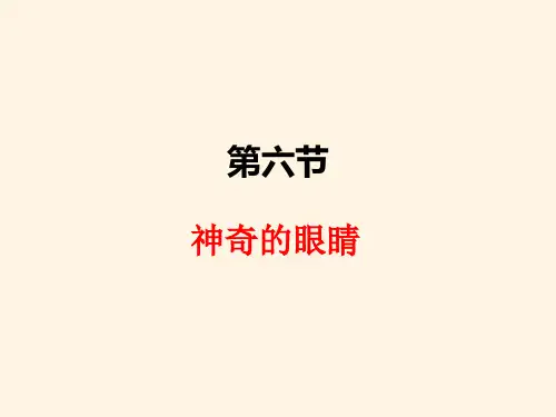 最新沪科版八年级上册物理精品课件-4.6神奇的眼睛
