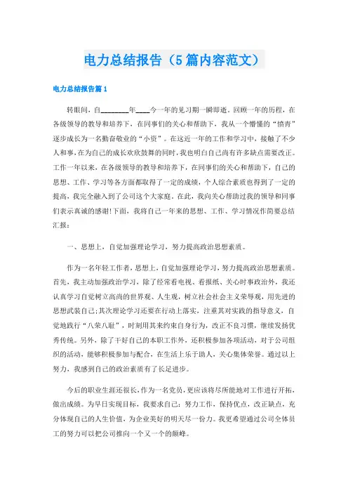 电力总结报告(5篇内容范文)