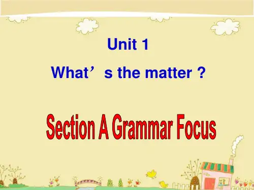 人教新目标英语八年级下册unitSectionAGrammarFocusPPT课件