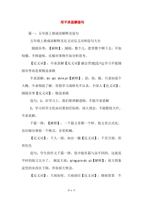 用不求甚解造句
