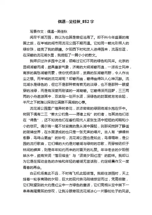 偶遇--吴佳秋_852字