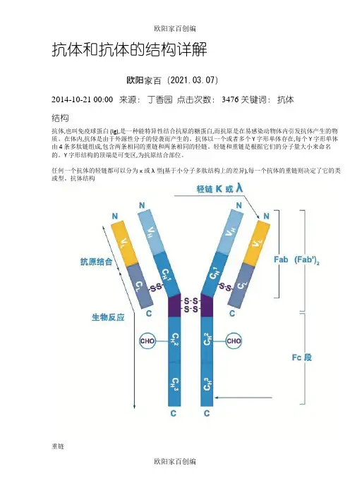抗体和抗体的结构详解之欧阳家百创编