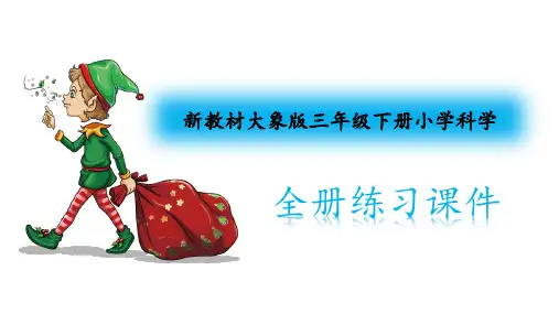 (新教材)大象版三年级下册科学全册练习题课件
