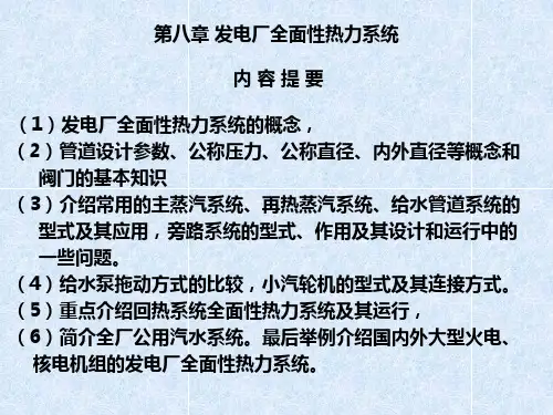 发电厂全面性热力系统