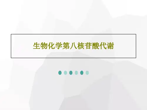 生物化学第八核苷酸代谢47页PPT