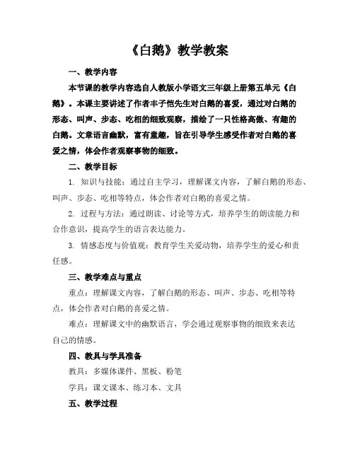 《白鹅》教学教案