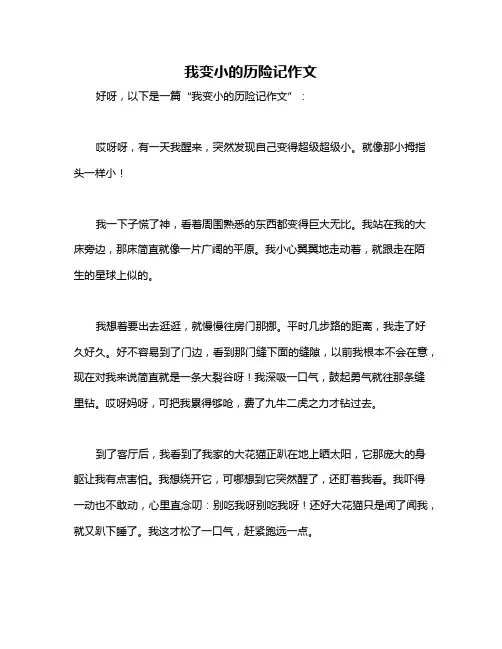 我变小的历险记作文