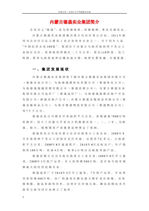 内蒙古德晟实业集团简介