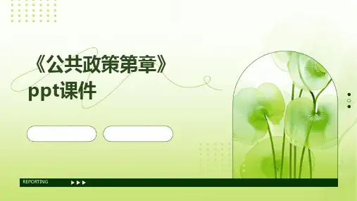 《公共政策第章》课件