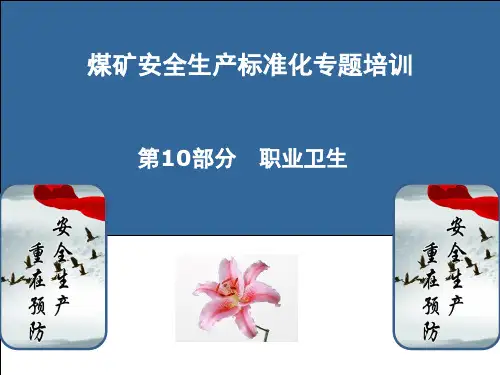 煤矿安全生产标准化专题培训教材(PPT 56张)