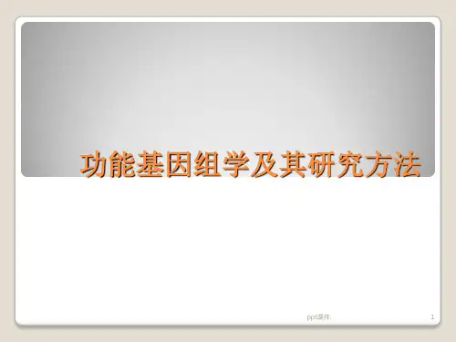 功能基因组学及其研究方法ppt课件
