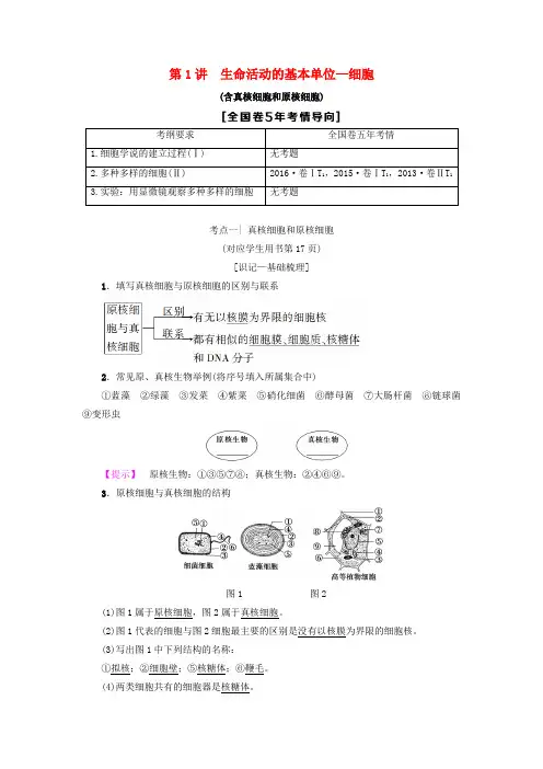 2019版高考生物一轮复习 第2单元 细胞的结构和功能 第1讲 生命活动的基本单位—细胞学案 苏教版