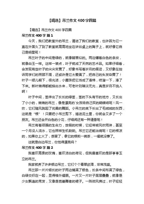 【精选】吊兰作文400字四篇