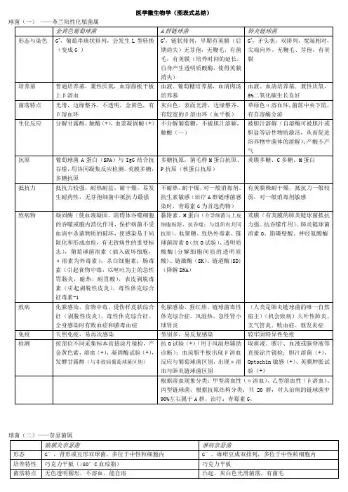 医学微生物学(图表式总结)