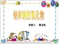 钠和钠的氧化物 课件