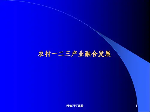 农村一二三产业融合发展ppt课件