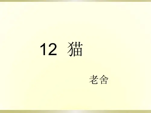 四年级下册语文课件-13.《猫》 (共21张PPT)