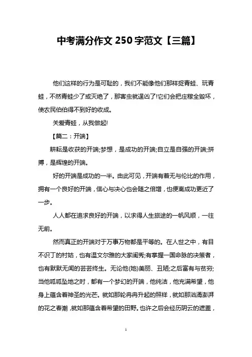 中考满分作文250字范文【三篇】
