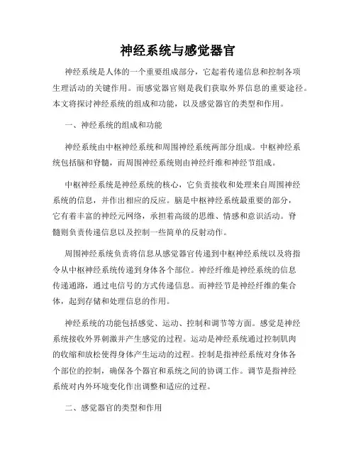 神经系统与感觉器官