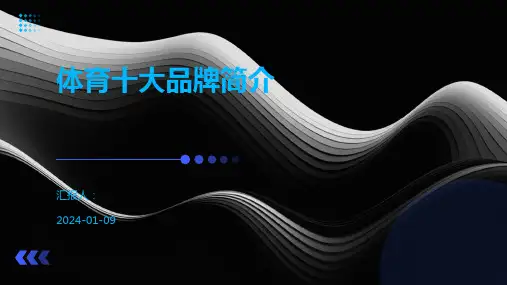 体育十大品牌简介