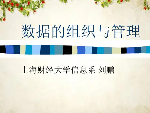 数据的组织与管理培训(ppt 39页)