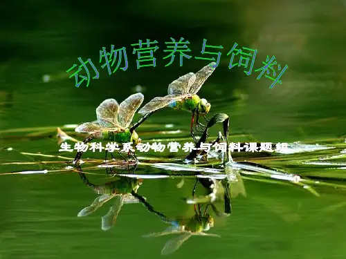 预混料工艺