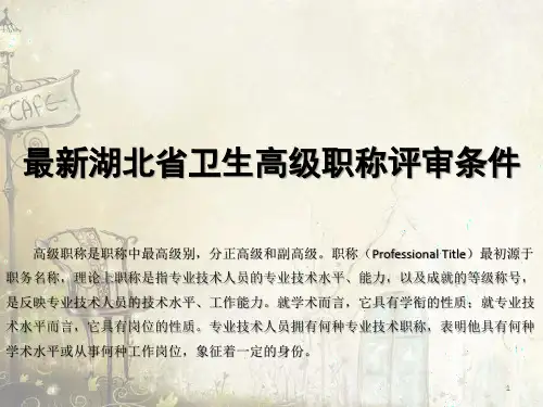 湖北省卫生高级职称评审条PPT