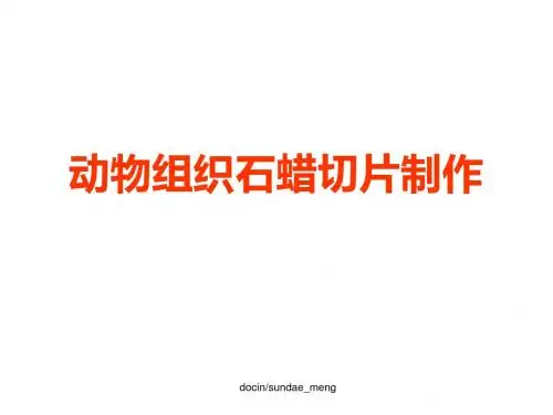 【大学实验】动物组织石蜡切片制作-PPT课件