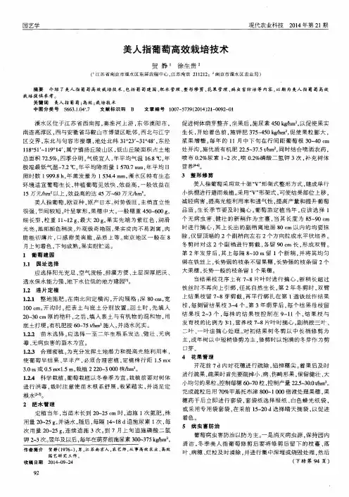 美人指葡萄高效栽培技术