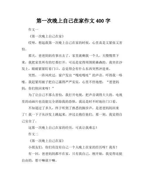 第一次晚上自己在家作文400字