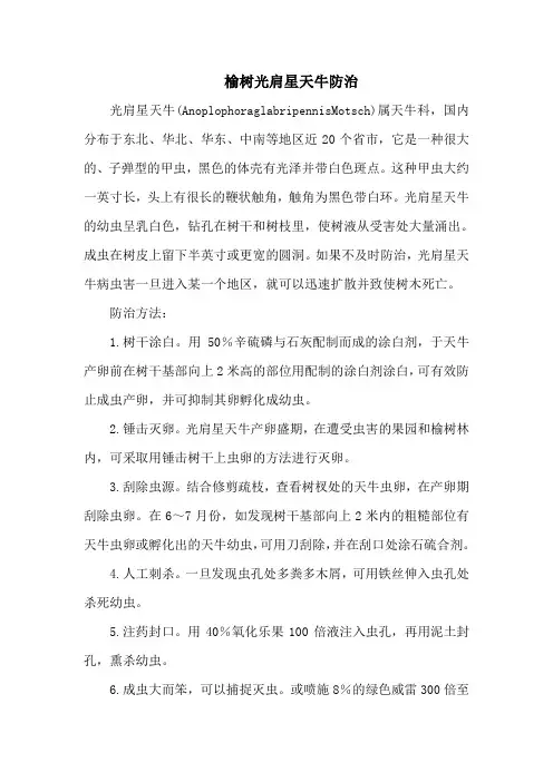 榆树光肩星天牛防治