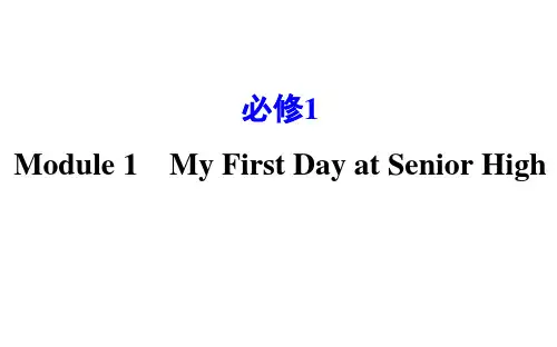 高考英语外研版一轮复习课件：必修1Module1MyFirstDayatSeniorHigh