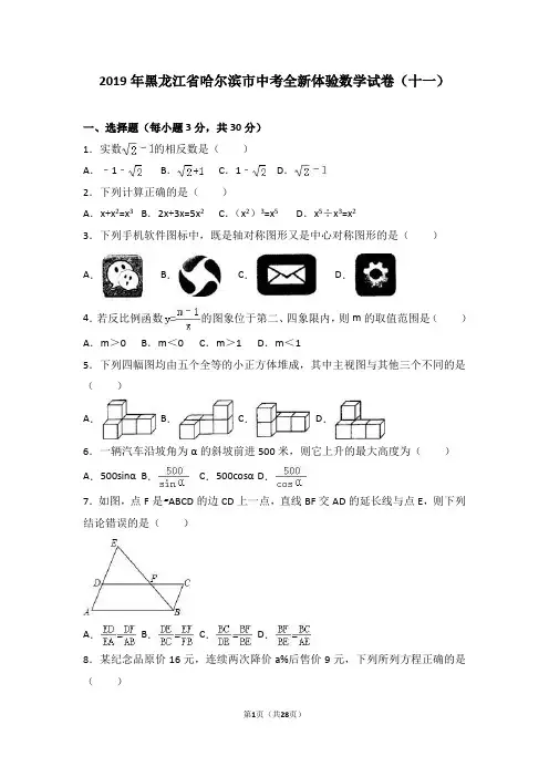 2019年哈尔滨市中考全新体验数学试卷(十一)含答案解析